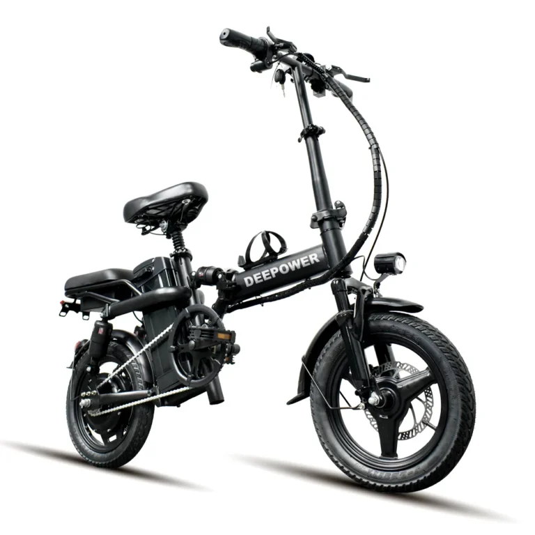 draisienne électrique deepower-k300-2