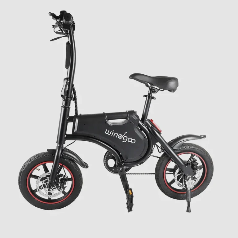 draisienne-electrique-windgoo-b5
