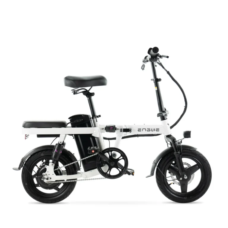 draisienne électrique engwe-t14